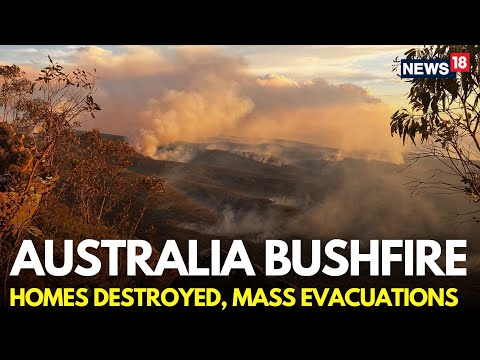 Australia Bushfires LIVE | Authorities Urge Thousands To Flee New South Wales Bushfires | N18G Episode cover