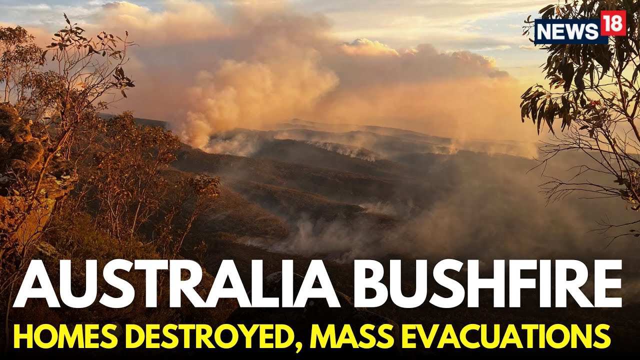 Australia Bushfires LIVE | Authorities Urge Thousands To Flee New South ...