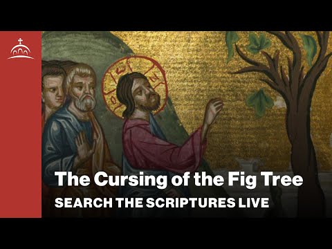 Search the Scriptures Live - The Cursing of the Fig Tree [Matthew #94]