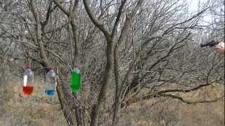9mm, 45acp & 44mag vs. 2 Liters