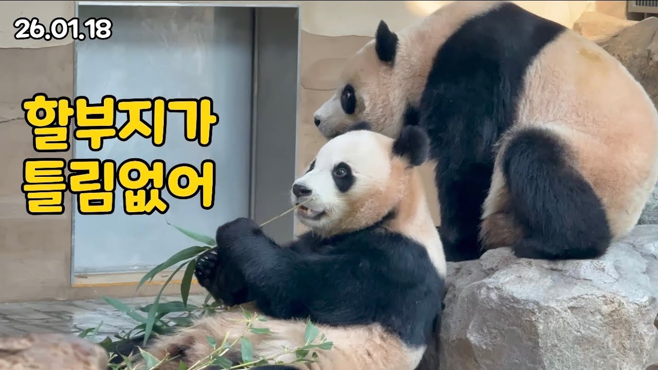 26.01.18 루이야~문 뚫어지겠어 ㅋㅋㅋㅋㅋ🤣