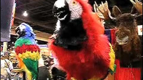 HAUNTEDPROPS.COM ANIMATED TALKING PARROT