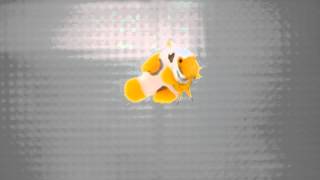 DSC 0011