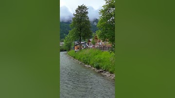 تلاوة عراقية حزينة القارئ دلشاد الكردي