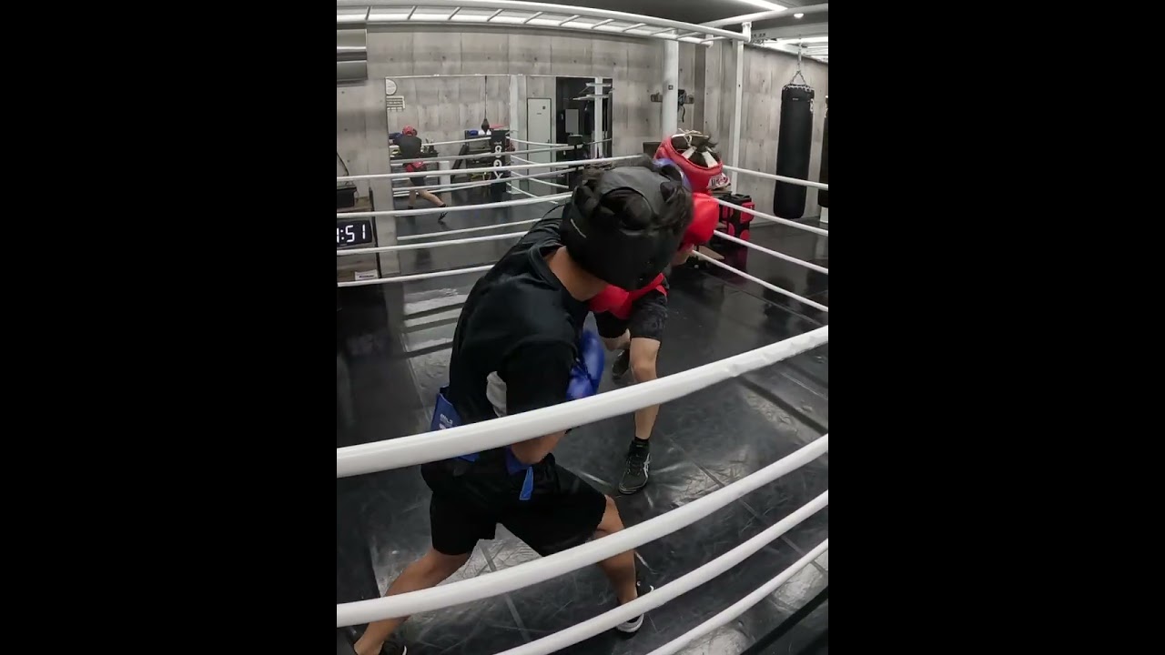 Sparring: 18-year-old hobbyist (Blue) vs. 39-year-old former pro