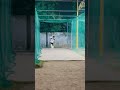Net session at cp cricket academy Ludhiana #cricket #battingshorts #netpractice #cricketlover