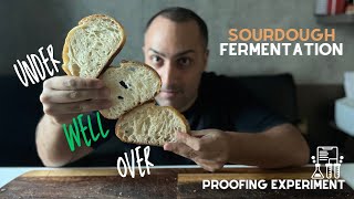 Proofing Time l Fermentation (Sourdough)
