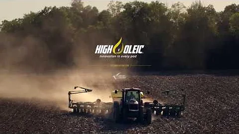 Growing a Movement | High Oleic Soybeans