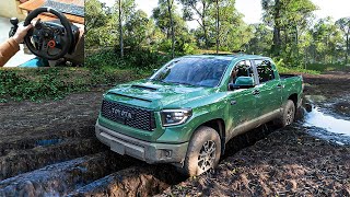 Toyota Tundra TRD Pro  Mud Offroading | Forza Horizon 5 | Steering Wheel Gameplay