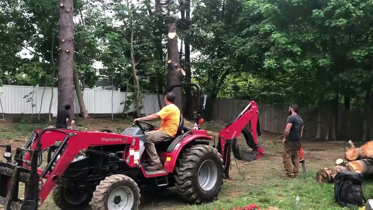 Ware Massachusetts Tree Service