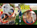 VLOG | Deberíamos hacer una película de NUESTRA HISTORIA JUNTOS?