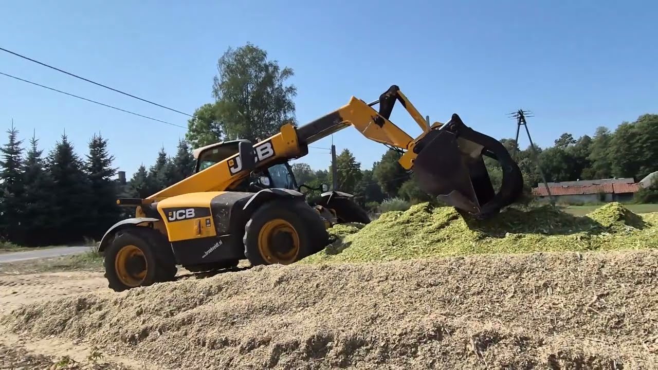 Kukurydza 2024.#cornsilage #oporowo #fendt #mengele#shaffer #jcb#strautmann