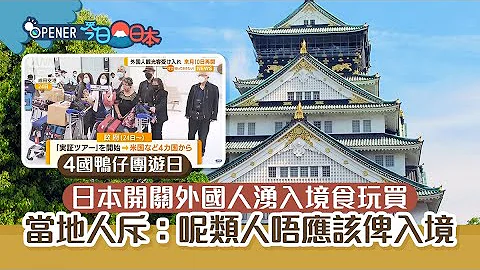 日本开关｜外国人涌入境食买玩　日本网民批政府反智：愚蠢国家！ - 天天要闻