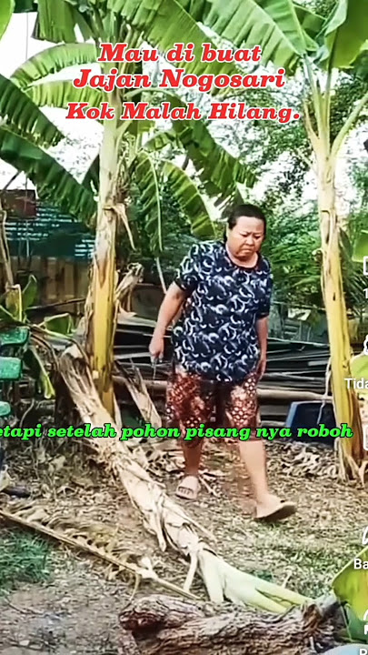 Ibu ibu menebang pohon pisang ll#hiburan#lucu