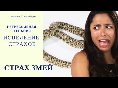 Змея – Эротические Сцены