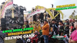 Download lagu PEMANASAN SEBELUM START🔥AWED MUDA AUDIO & BREWOG GANK‼️KARNAVAL MAYANGAN MAKIN NGERI