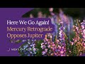 Here We Go Again! Mercury Retrograde Opposes Jupiter