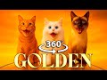360° VR HUNTR/X - "GOLDEN" vs CATS