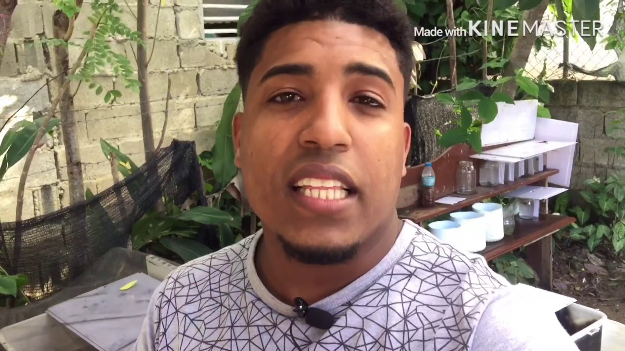 Cómo hacer un cultivo de microgusano sin tener sepa inicial