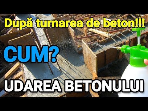 Video: Ar Trebui Să Construiți O Fundație Cu Efect De Seră?