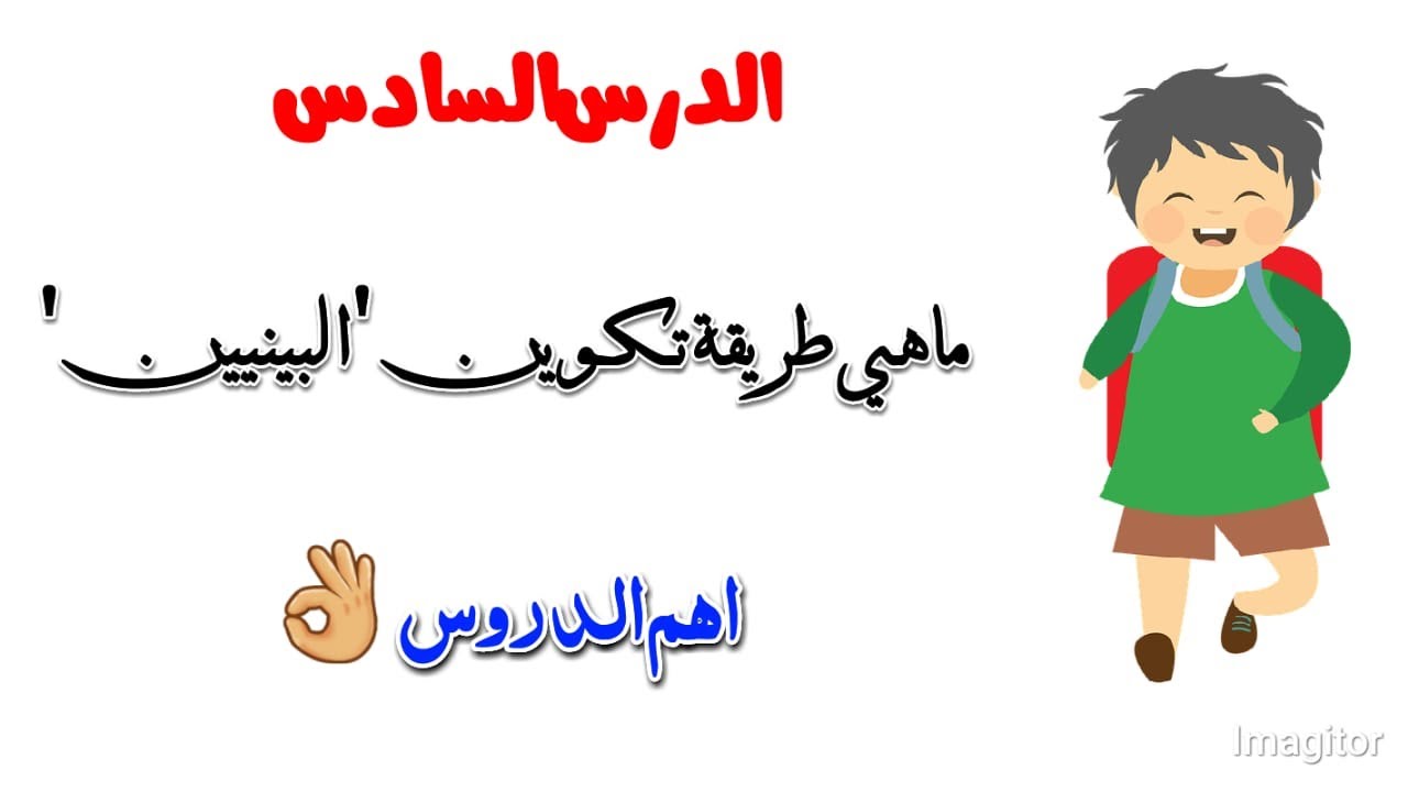 كيف يتكون البنين