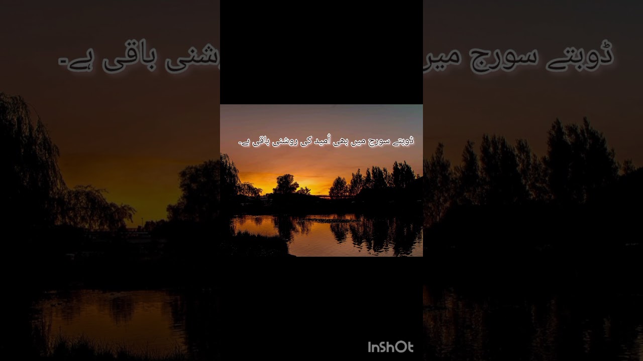 Beautiful Sunset Reflection Peaceful Nature View Golden Sunset Over Water Calm&Relaxing Nature Scene