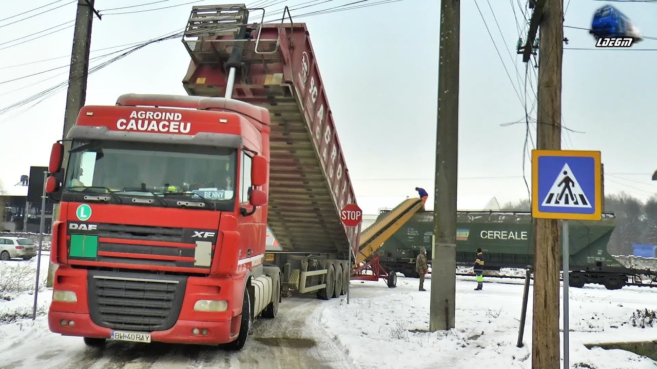 Încărcare Tren de Cereale/Grain Train Loading in Zăpadă/Snow in Gara Tinca Station - 19 January 2021