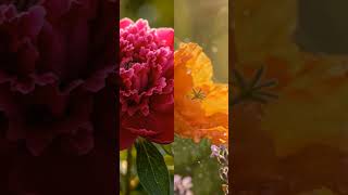 #houseplantsworld #Growtogether #plants #Gardens#2026