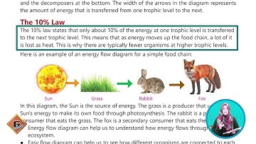 Gohar Skill Up Science 5|Unit 3|Lec 3|Food Web