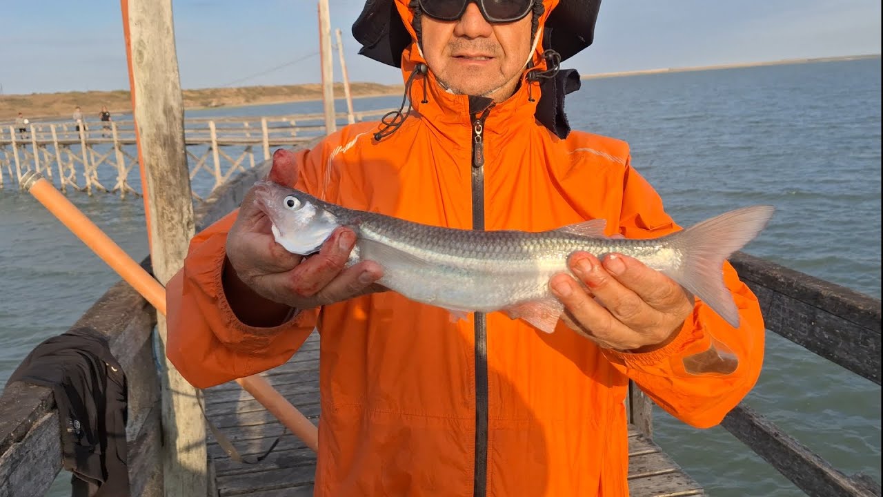 Pesca camping y cocina....en El Balneario Los Pocitos partido de Patagones!!!
