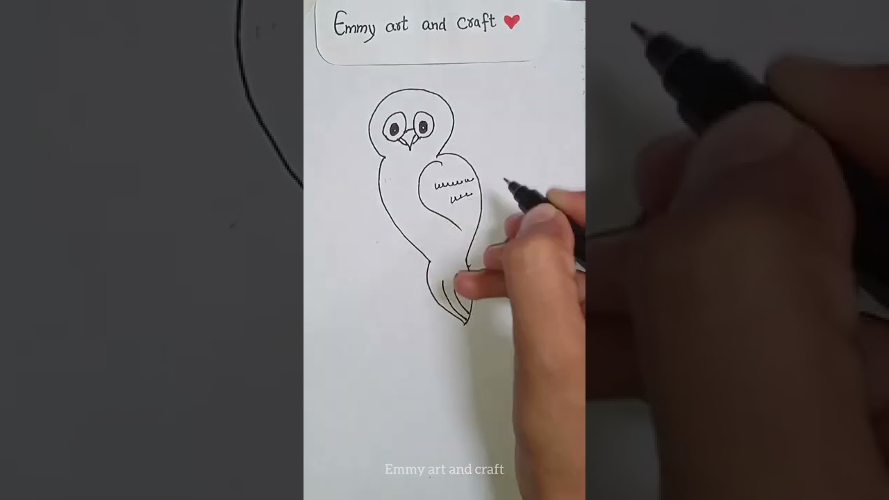 How to draw perfect owl 