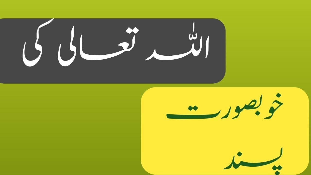 اللہ تعالے کو 3 باتیں پسںد