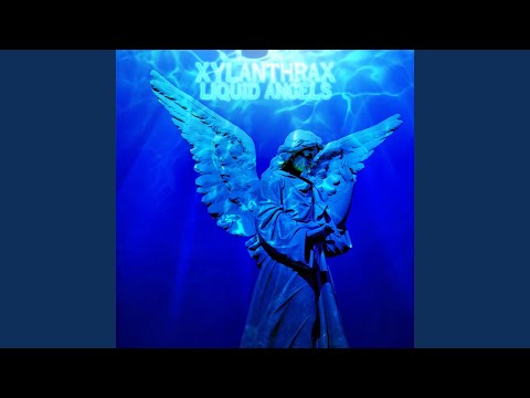 Xylanthrax — Shimmery