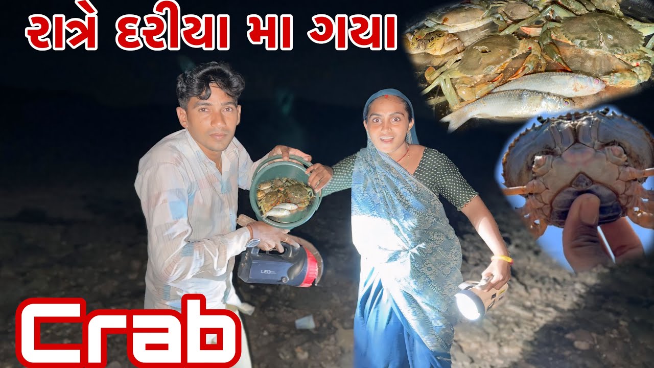 પહેલી વાર નેનસી ને કરચલો કરડી ગયો 🦀😪 night fishing 🎣dariyai khedut