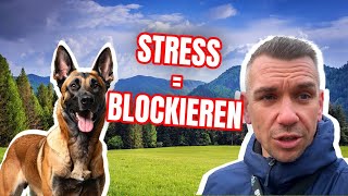 Ein Video Für Alle Experten