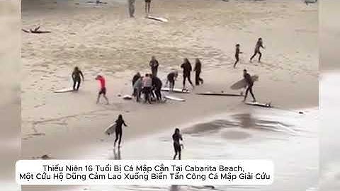 Thiếu Niên Bị Cá Mập Cắn Tại Cabarita , Một Cứu Hộ Dũng Cảm Lao Xuống Biển Tấn Công Cá Mập Giải Cứu