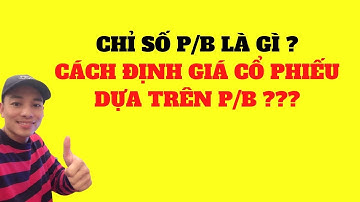 Chỉ Số P/B Là Gì? Cách Sử Dụng P/B Định Giá Cổ Phiếu