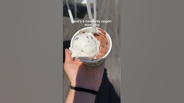 MUST TRY Vegan Ice Cream Shop at Van Leeuwen in El Segundo #mintchipicecream #darkchocolatebrownie