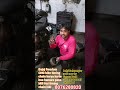 Bajaj freedom CNG bike timing chain karya#automobile#scross #smartphone#jktyres #supercarry#soulrock