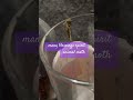 many blessing spirit animal moth