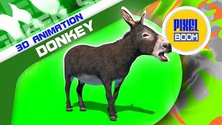 Green Screen Donkey Animals Animation - 3D Rendering PixelBoom