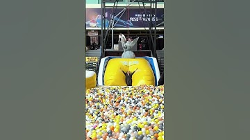 Happy Trampoline #music #trampoline #happy #funny #prankvideo #fun