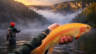 Fishing Pennsylvania’s Grand Canyon Was Unreal! 