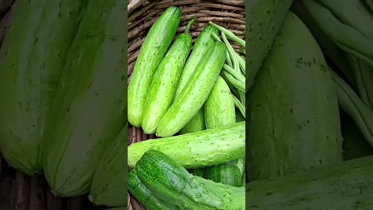 Top secret Amazing kitchen Hacks 🍵 😱| Mind Blowing Hacks In Hindi | Random Facts 