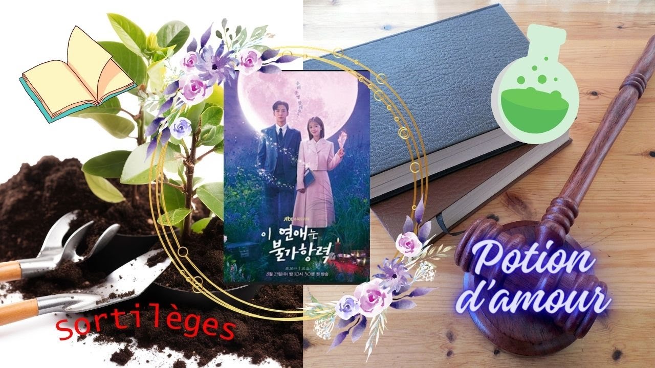 Le livre de notre destin (Destined with you) - K Drama - YouTube
