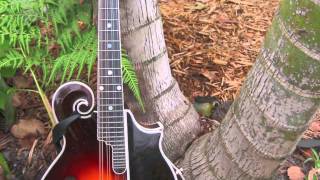 Fretmentor Tour - Part I Introduction.m4v