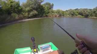 Pikes on fly and soft baits screenshot 5