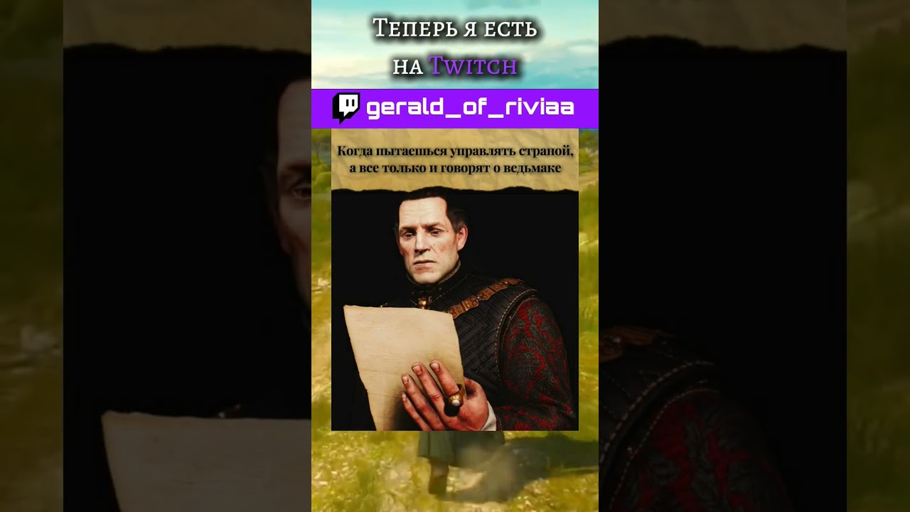 Мем по ведьмаку №49 