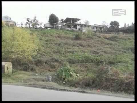 საქართველოს მთავრობა  ჩაის პლანტაციების რეაბილიტაციას იწყებს