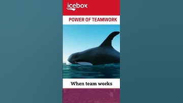 The Power of Teamwork 🔥👬🤝 - Best Example of Team Strength #TeamWork #Unity #Motivation